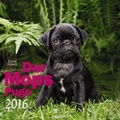 Cover: Knesebeck der Mops 2016 - Neumann Verlage GmbH & Co. KG
