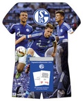 Cover: FC Schalke 04 2016 - Neumann Verlage GmbH & Co. KG