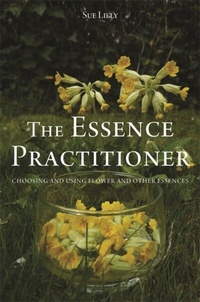 Abbildung von: The Essence Practitioner - Singing Dragon