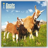 Abbildung von: Goats 2016 - Ziegen - 18-Monatskalender - Brown Trout-Auslieferer Flechsig