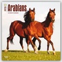 Bild: Arabians 2016 - Araber - 18-Monatskalender - Brown Trout-Auslieferer Flechsig