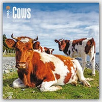 Abbildung von: Cows 2016 - Kühe - 18-Monatskalender - Brown Trout-Auslieferer Flechsig