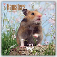 Bild vergrößern Bild: Hamsters 2016 - Hamster - 18-Monatskalender - Brown Trout-Auslieferer Flechsig