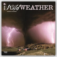 Abbildung von: Wild Weather 2016 - Unwetter - 18-Monatskalender - Brown Trout-Auslieferer Flechsig