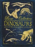 Cover: Bone Collections: Dinosaurs - Words & Pictures