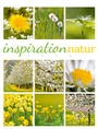 Bild: Inspiration Natur 2016 - Ackermann Kunstverlag