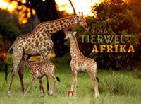 Abbildung von: Tierwelt Afrika 2016 - Ackermann Kunstverlag
