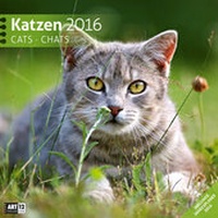 Bild vergrößern Bild: Katzen 30 x 30 cm 2016 - Ackermann Kunstverlag