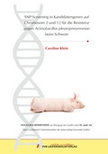 Cover: SNP-Screening in Kandidatengenen auf Chromosom 2 und 12 f&uuml;r die Resistenz gegen Actinobacillus pleuropneumoniae beim Schwein - VVB Laufersweiler Verlag