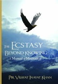 Cover: The Ecstasy Beyond Knowing - Simon + Schuster LLC