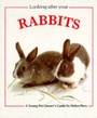 Cover: Looking After Your Rabbit - Frances Lincoln Children's Books