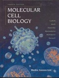 Cover: Molecular Cell Biology - W.H.Freeman & Co Ltd