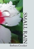 Cover: Small Rain - Purple Flag