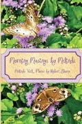 Cover: Morning Musings by Melinda - Dandelion Enterprises