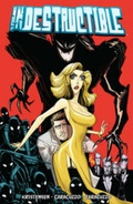 Cover: Indestructible Volume 2 - Idea & Design Works