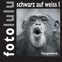 Abbildung von: fotolulu schwarz auf weiss I - BoD - Books on Demand