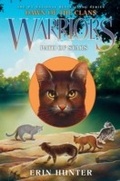 Cover: Warriors: Dawn of the Clans #6: Path of Stars - HarperCollins