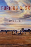Cover: Furious Dusk - University of Notre Dame Press