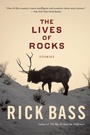 Cover: Lives of Rocks - Houghton Mifflin