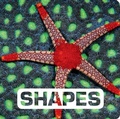 Cover: Shapes: Picture This - Houghton Mifflin Harcourt Publishing Company