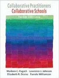 Enlarge image Cover: Collaborative Practitioners, Collaborative Schools - Love Publishing Co