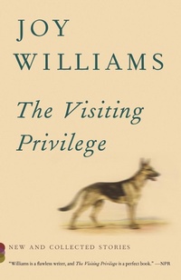 Enlarge image Cover: The Visiting Privilege - Vintage
