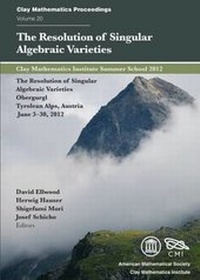 Abbildung von: The Resolution of Singular Algebraic Varieties - American Mathematical Society