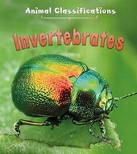 Enlarge image Cover: Invertebrates - Raintree Publishers