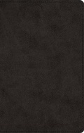 Cover: ESV Men's Devotional Bible - Crossway Books