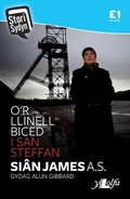 Cover: Stori Sydyn: O'r Llinell Biced i San Steffan - Y Lolfa