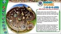 Cover: Mighty Rome! - Weldon Owen Education Ltd