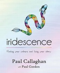 Enlarge image Cover: iridescence - Moshpit Publishing