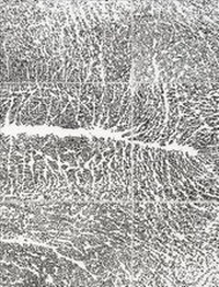 Enlarge image Cover: Giuseppe Penone - Actes Sud