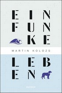 Enlarge image Cover: Ein Funke Leben - Bucher Verlag GmbH