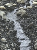Cover: Olafur Eliasson: Riverbed - Louisiana