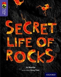 Enlarge image Cover: Oxford Reading Tree TreeTops inFact: Level 11: Secret Life of Rocks - Oxford University Press