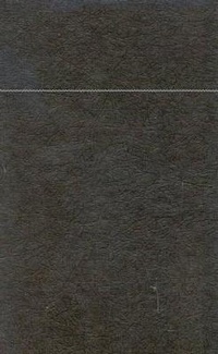 Enlarge image Cover: Universality and History: Foundations of Core - University Press of America