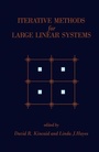 Cover: Iterative Methods for Large Linear Systems - Academic Press