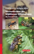 Cover: Taschenlexikon der Wildbienen Mitteleuropas - Quelle & Meyer