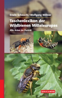 Abbildung von: Taschenlexikon der Wildbienen Mitteleuropas - Quelle & Meyer