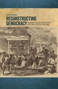 Enlarge image Cover: Reconstructing Democracy - Cokesbury