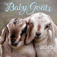 Abbildung von: Baby Goats 2015 - Race Point Publishing