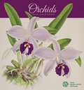 Cover: 2016 Orchids Wall Calendar - Pomegranate Communications Inc,US
