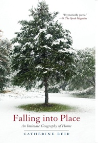Enlarge image Cover: Falling into Place - Beacon Press