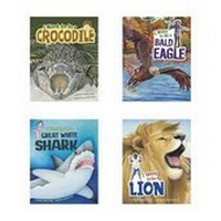 Enlarge image Cover: I Want to Be... - Picture Window Books