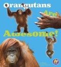 Cover: Orangutans Are Awesome! - Capstone Press