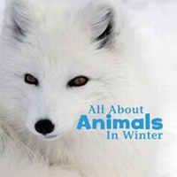 Enlarge image Cover: All about Animals in Winter - Capstone Press