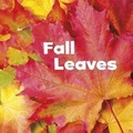 Cover: Fall Leaves - Capstone Press