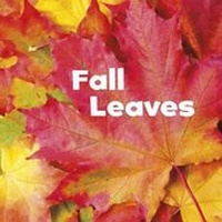 Enlarge image Cover: Fall Leaves - Capstone Press