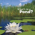 Cover: What's in a Pond? - Capstone Press